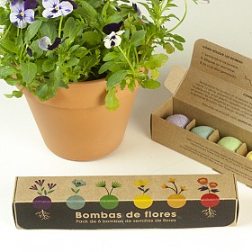 Pack de 6 bombas de semillas: flores o hierbas aromáticas